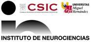 X SEMANA DEL CEREBRO 2010
Instituto de Neurociencias de Alicante