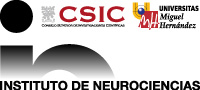 SEMANA MUNDIAL DEL CEREBRO 2019
Instituto de Neurociencias de Alicante